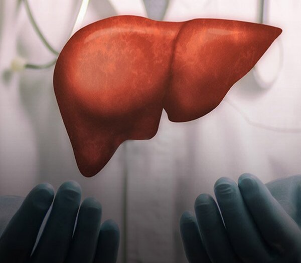 liver